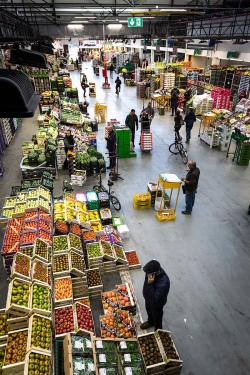 El Mercado Central de Frutas y Hortalizas de Mercabarna