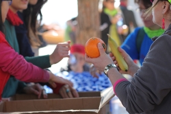 The refreshment stations in the Barcelona Magic Line