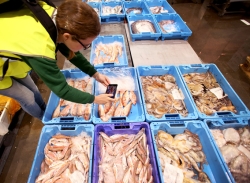The instagramers been able to portray the dynamism of the Central Fish Market