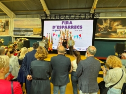 Fira d'Espàrrecs de Gavà