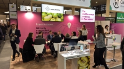 Estand de Mercabarna a Fruit Logistica 2024
