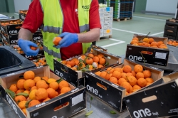 Selección de producto por parte de un trabajador del Foodback