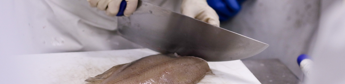 Formació Mercabarna peixateria 