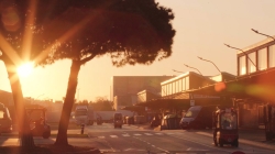 Mercabarna, la ciutat que mai dorm