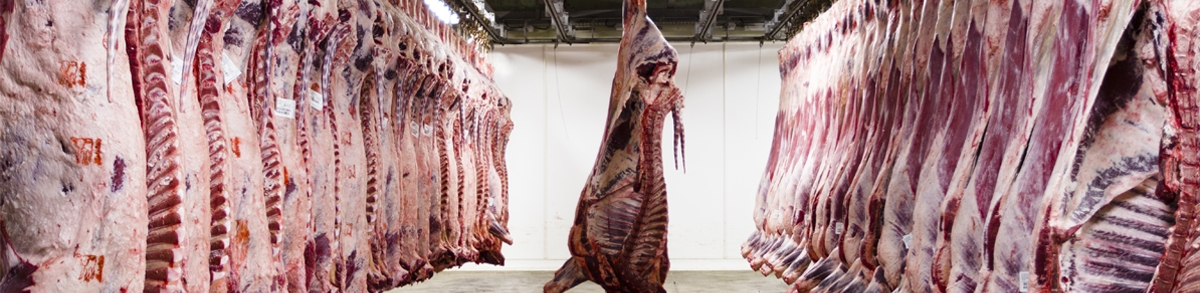 Sector cárnico de Mercabarna