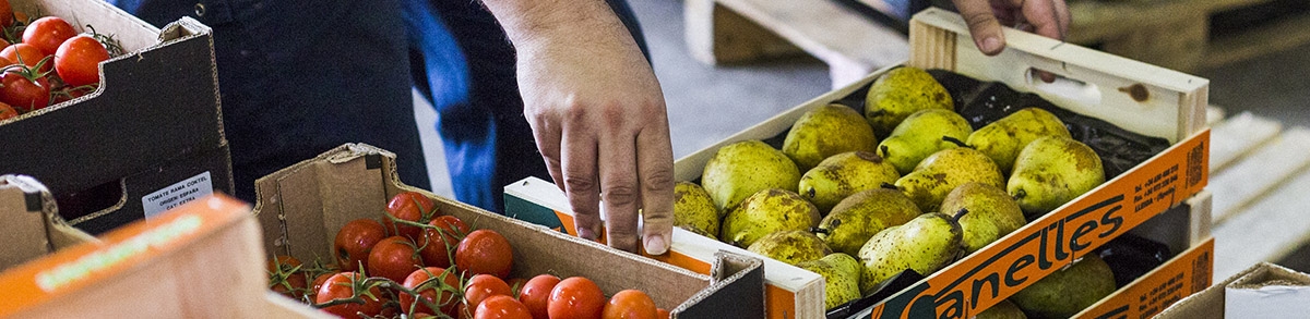 Mercabarna lluita contra el malbaratament alimentari