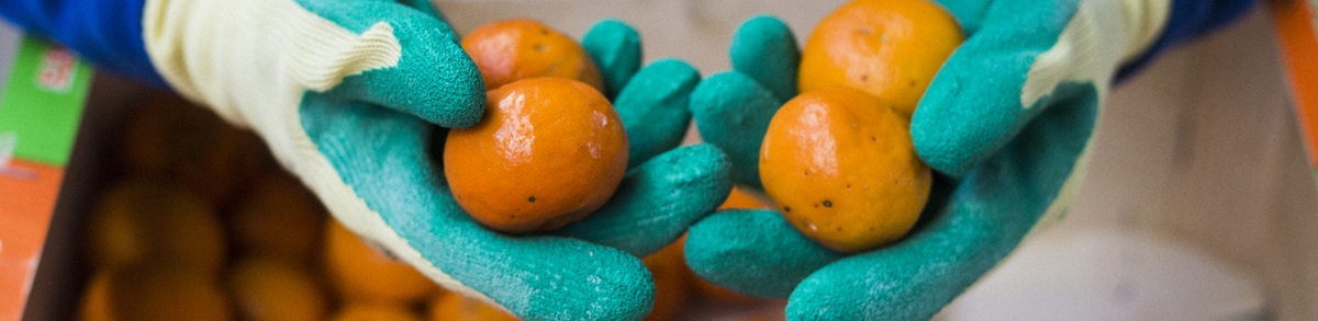 Responsabilitat social corporativa de Mercabarna