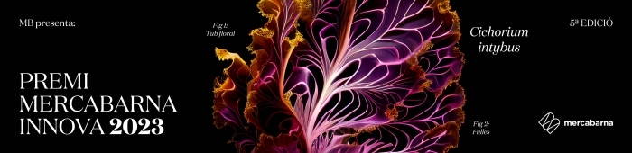 premis-mercabarna-innova-2020